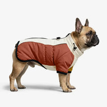 Manteau pour chien chaud en polaire à blocs de couleurs rétro avec boucle pour laisse.