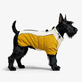Manteau pour chien chaud en polaire à blocs de couleurs rétro avec boucle pour laisse.