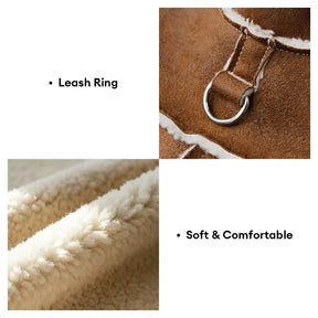 Gilet pour chien teckel en velours rétro