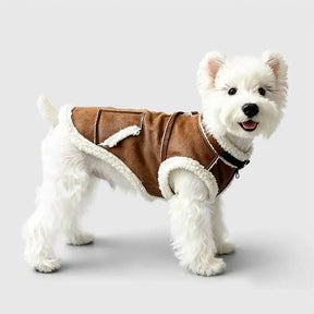 Gilet pour chien teckel en velours rétro