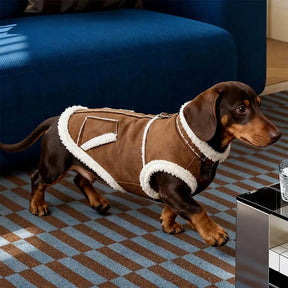 Gilet pour chien teckel en velours rétro