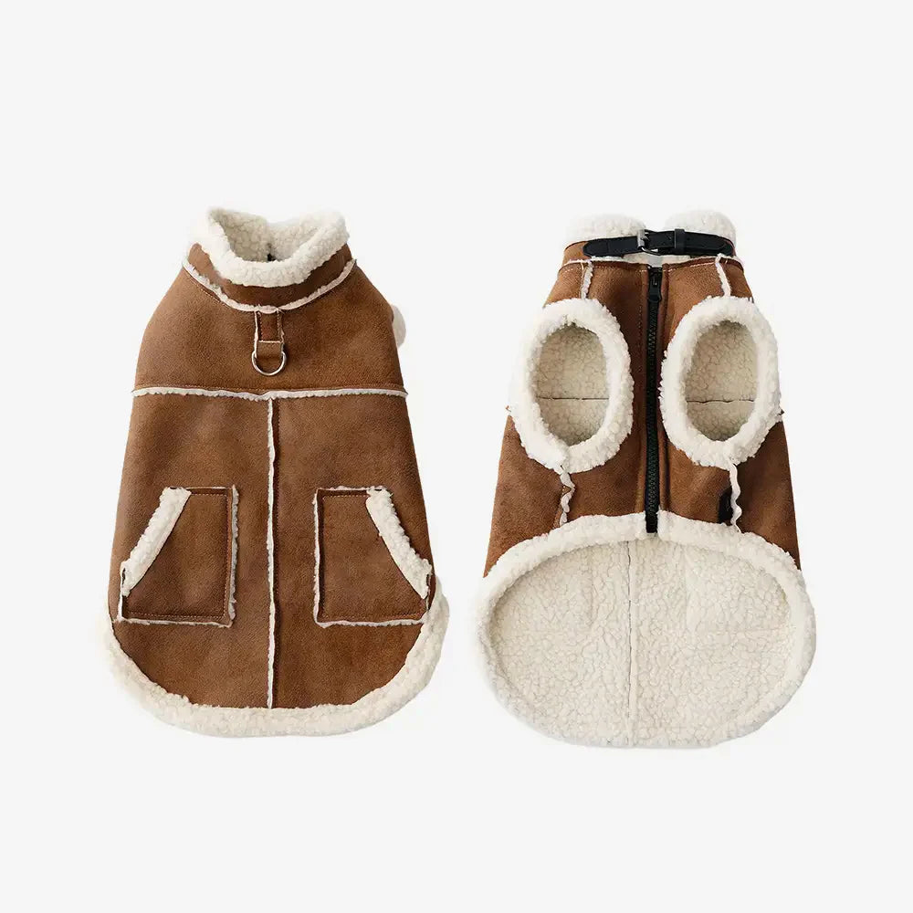 Gilet pour chien teckel en velours rétro