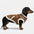 Gilet pour chien teckel en velours rétro