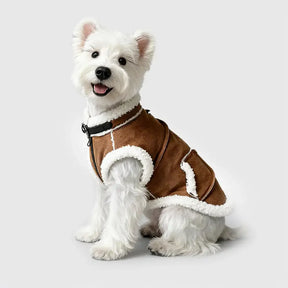 Gilet pour chien teckel en velours rétro