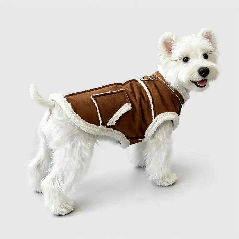 Gilet pour chien teckel en velours rétro