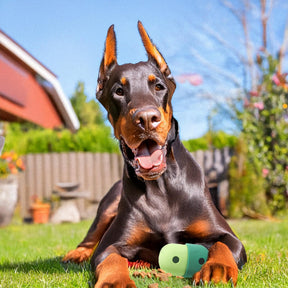 Jouet interactif en silicone pour chien avec balle friandise roulante