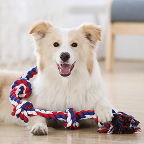 Jouet Interactif pour Chien avec Corde en Nœud