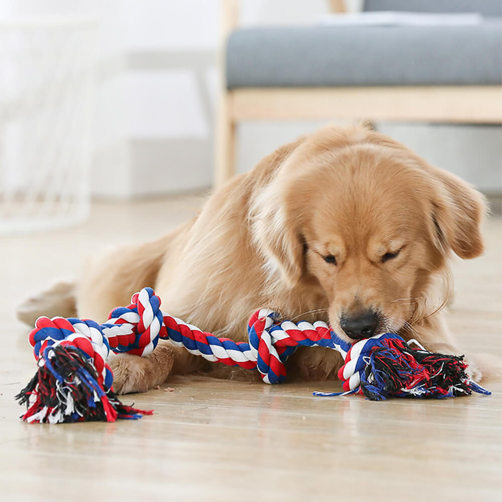 Jouet Interactif pour Chien avec Corde en Nœud