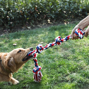 Jouet Interactif pour Chien avec Corde en Nœud