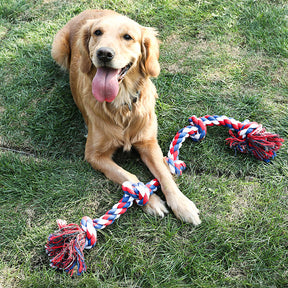 Jouet Interactif pour Chien avec Corde en Nœud