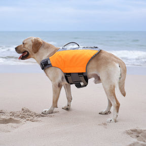 Gilet de sauvetage pour chien haute visibilité sûr et flottant