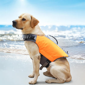 Gilet de sauvetage pour chien haute visibilité sûr et flottant