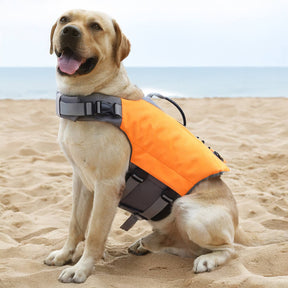 Gilet de sauvetage pour chien haute visibilité sûr et flottant