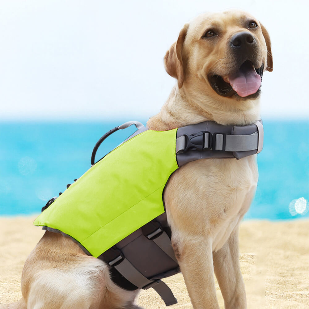 Gilet de sauvetage pour chien haute visibilité sûr et flottant