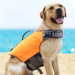 Gilet de sauvetage pour chien haute visibilité sûr et flottant