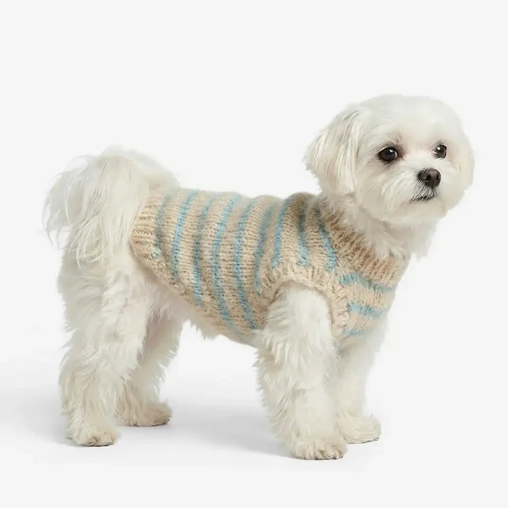 Pull en tricot à rayures en fausse laine douce pour petits chiens.