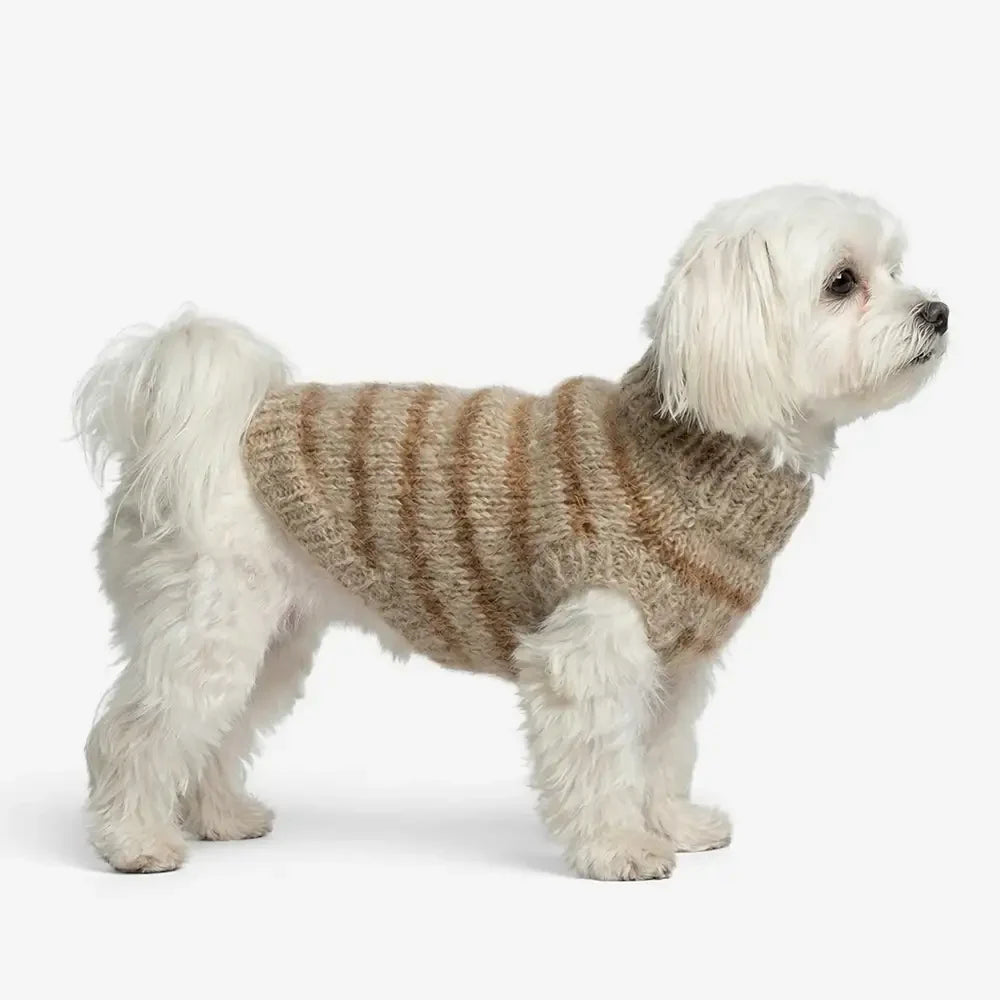 Pull en tricot à rayures en fausse laine douce pour petits chiens.