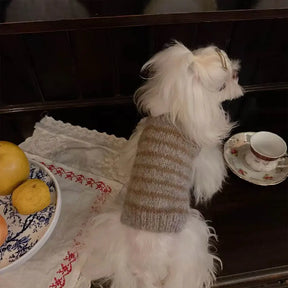 Pull en tricot à rayures en fausse laine douce pour petits chiens.