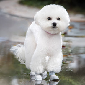 Chaussures de pluie souples imperméables légères antidérapantes pour chien extérieur