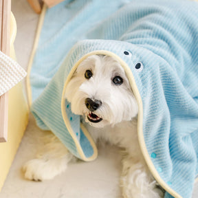 Peignoir de Bain pour Chien en Tissu Absorbant à Séchage Rapide et Rayures Douces