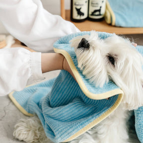 Peignoir de Bain pour Chien en Tissu Absorbant à Séchage Rapide et Rayures Douces