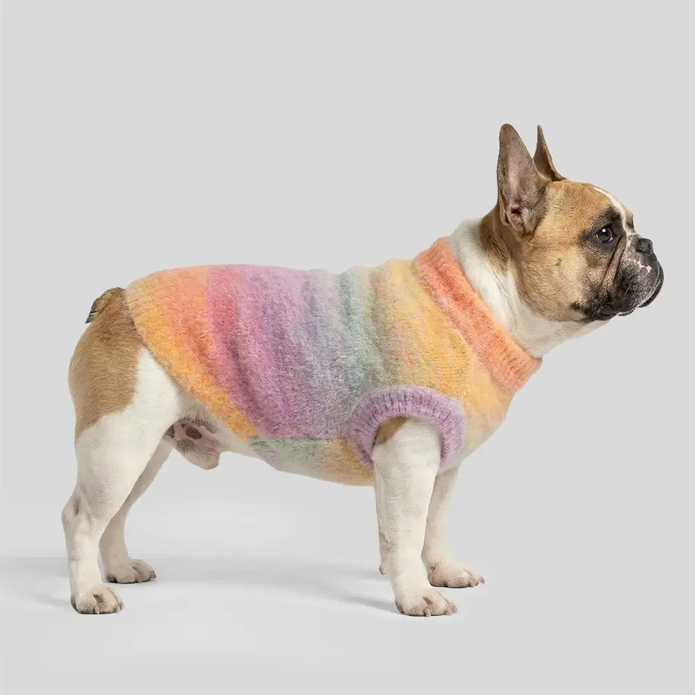 Pull pour chien en tricot épais, doux et chaud - Conçu pour teckels, bulldogs français et carlins.