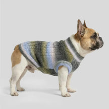 Pull pour chien en tricot épais, doux et chaud - Conçu pour teckels, bulldogs français et carlins.