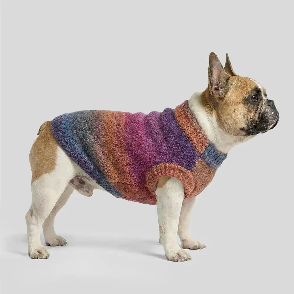Pull pour chien en tricot épais, doux et chaud - Conçu pour teckels, bulldogs français et carlins.