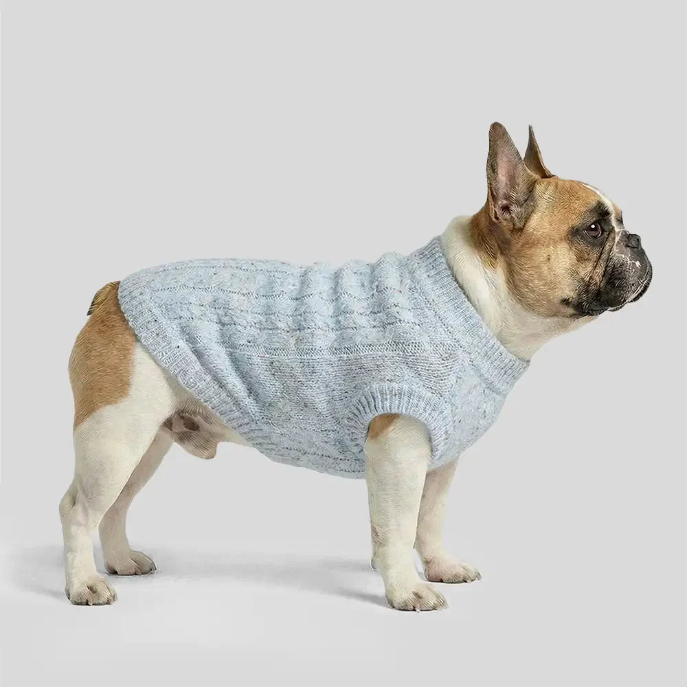 Pull pour chien en tricot épais, doux et chaud - Conçu pour teckels, bulldogs français et carlins.