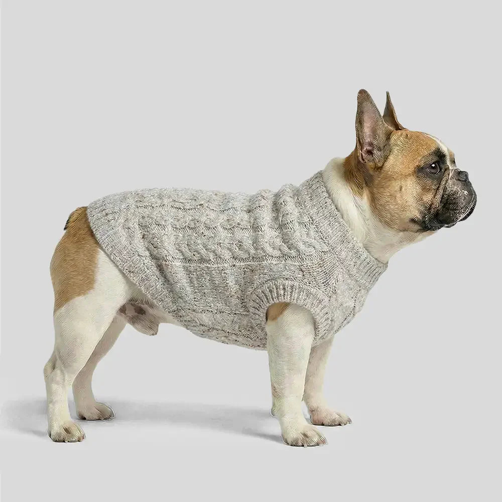 Pull pour chien en tricot épais, doux et chaud - Conçu pour teckels, bulldogs français et carlins.