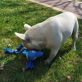 Jouet en peluche douce colorée en forme de caméléon avec sifflet pour chien