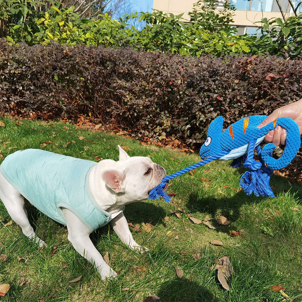 Jouet en peluche douce colorée en forme de caméléon avec sifflet pour chien