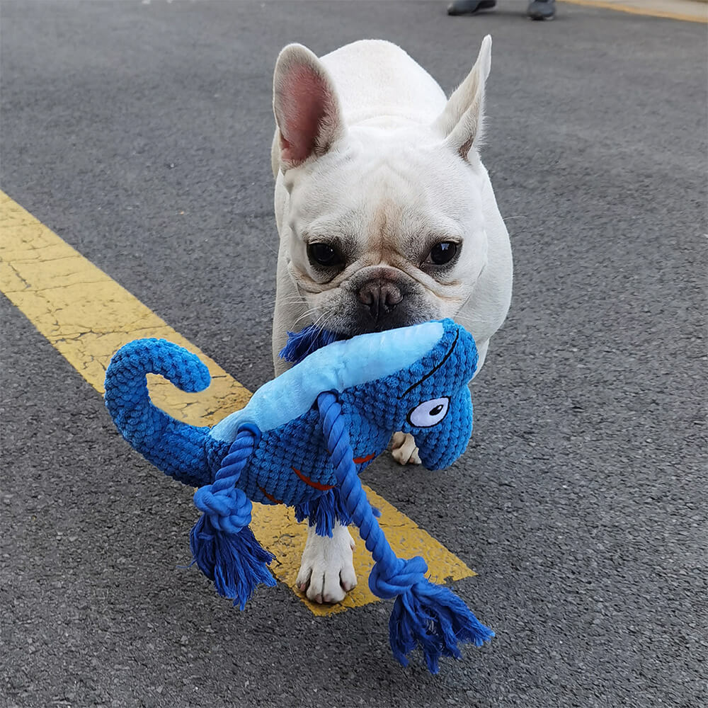 Jouet en peluche douce colorée en forme de caméléon avec sifflet pour chien