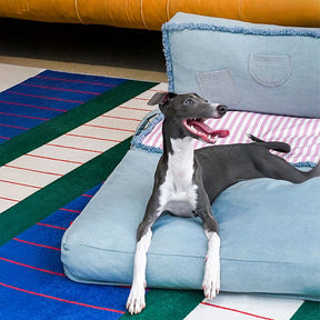 Canapé-lit multifonctionnel pliable et spacieux en denim pour chien et chat