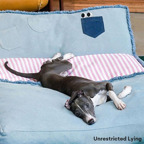 Canapé-lit multifonctionnel pliable et spacieux en denim pour chien et chat