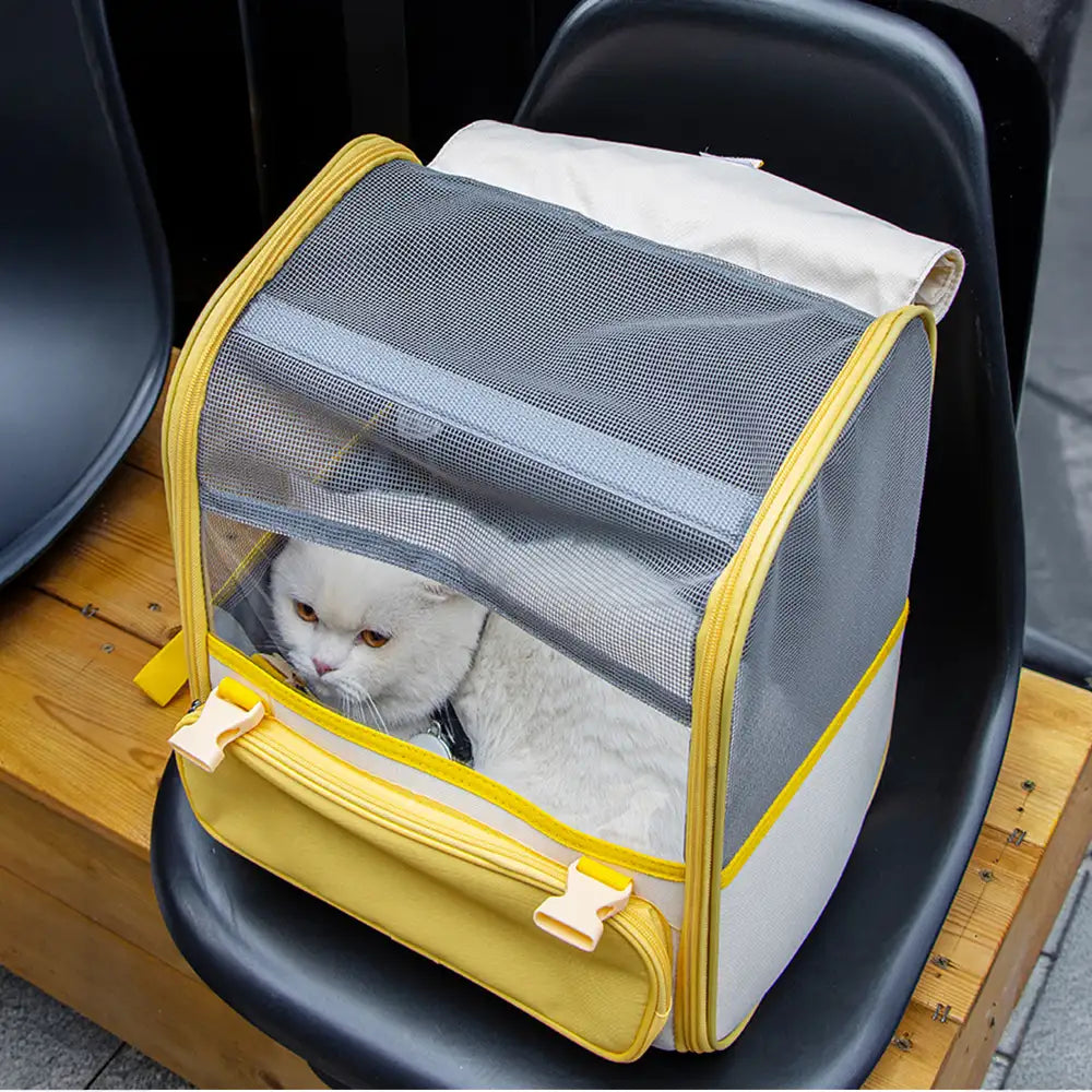 Sac à dos transporteur pour chat spacieux et léger avec fenêtre transparente