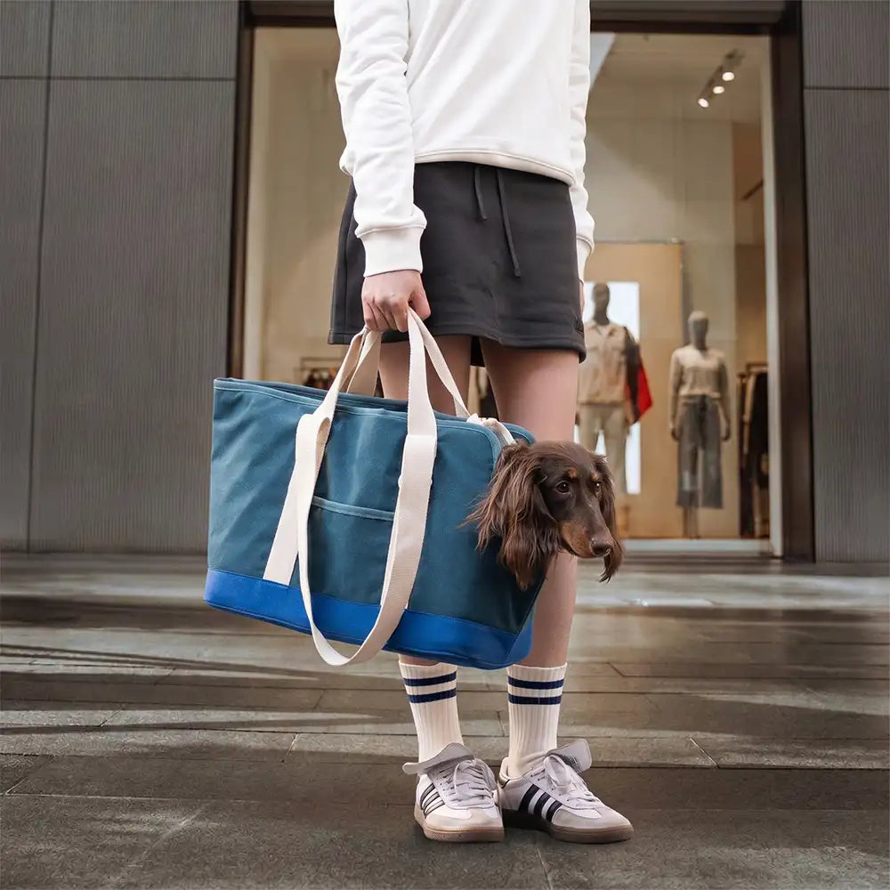 Sac de transport pour animaux de compagnie, sportif, élégant, portable, grande capacité, pour les voyages et chez le vétérinaire.