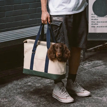 Sac de transport pour animaux de compagnie, sportif, élégant, portable, grande capacité, pour les voyages et chez le vétérinaire.