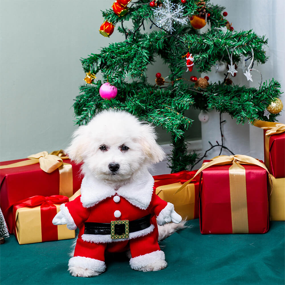 Costume de Père Noël stéréoscopique pour chien avec chapeau et cosplay