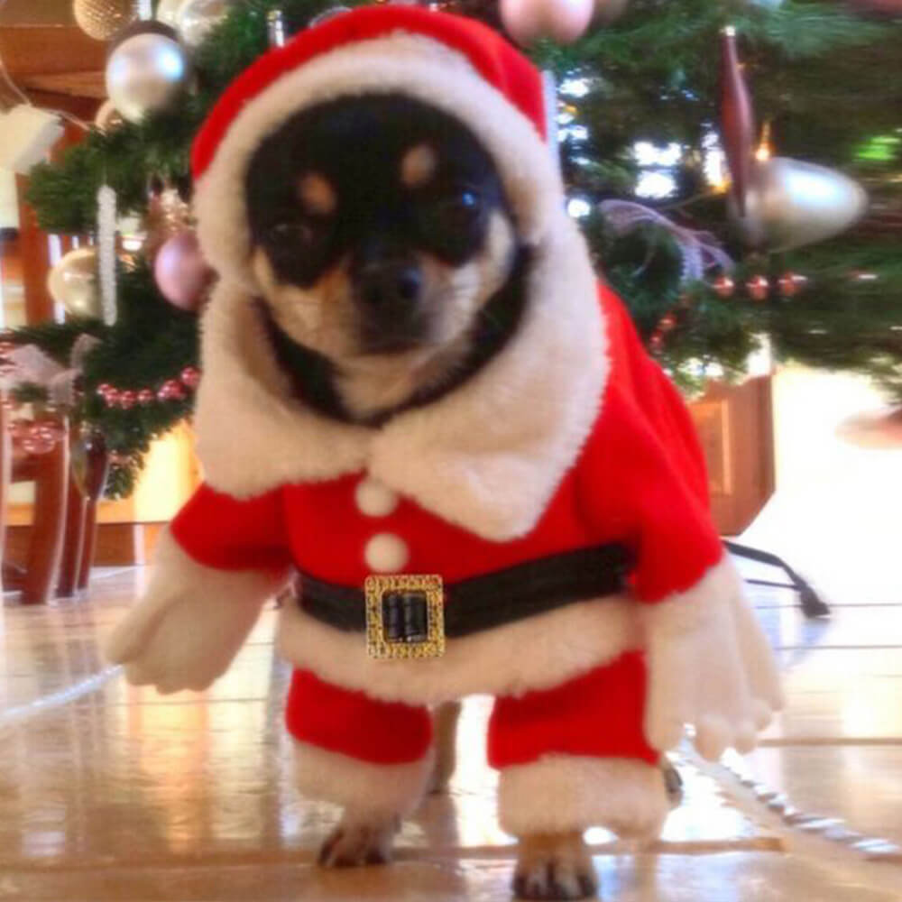 Costume de Père Noël stéréoscopique pour chien avec chapeau et cosplay