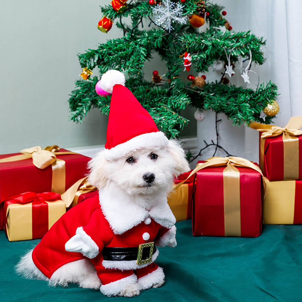 Costume de Père Noël stéréoscopique pour chien avec chapeau et cosplay