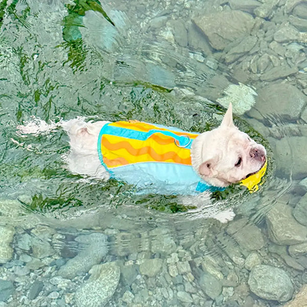 Gilet de sauvetage pour chien à coloris contrastés élégant