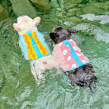 Gilet de sauvetage pour chien à coloris contrastés élégant