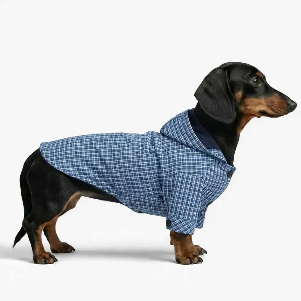 Veste de chien réversible à deux faces élégante, coupe-vent, pour l'extérieur.