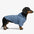 Veste de chien réversible à deux faces élégante, coupe-vent, pour l'extérieur.