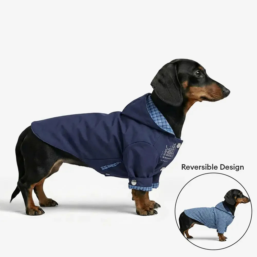 Veste de chien réversible à deux faces élégante, coupe-vent, pour l'extérieur.