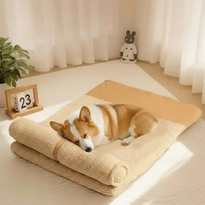 Lit pour chien grande taille en peluche Teddy Fluffy pour sommeil profond - Miel Ambre