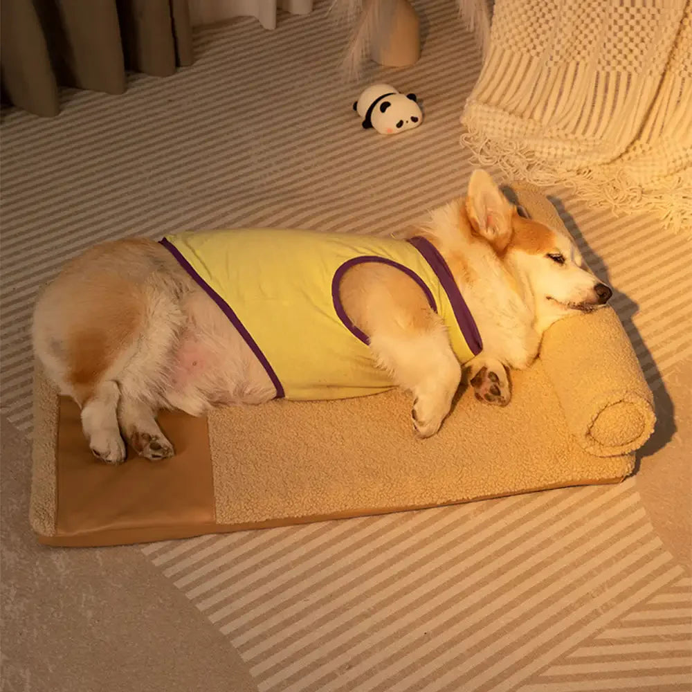 Lit pour chien grande taille en peluche Teddy Fluffy pour sommeil profond - Miel Ambre