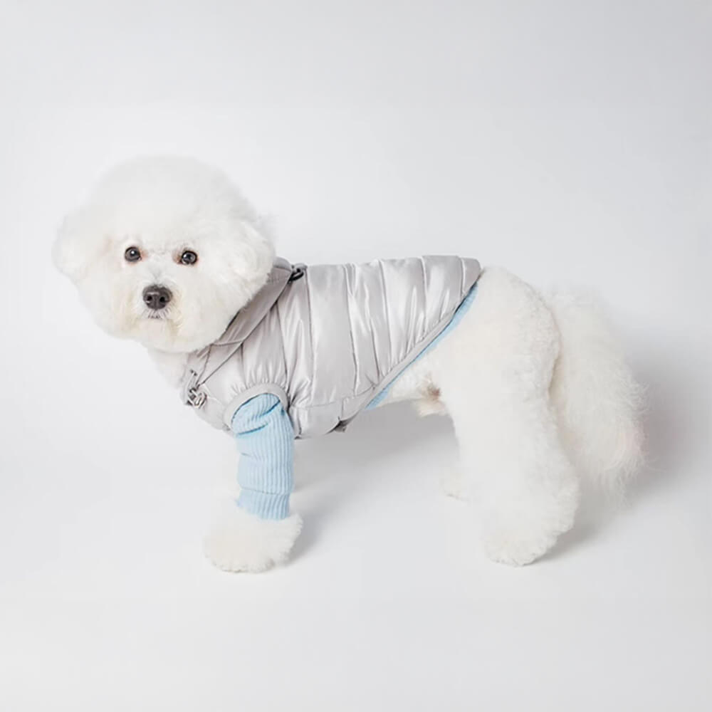 Gilet à capuche tendance et léger pour chien avec laisse à anneau en D