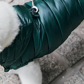 Gilet à capuche tendance et léger pour chien avec laisse à anneau en D